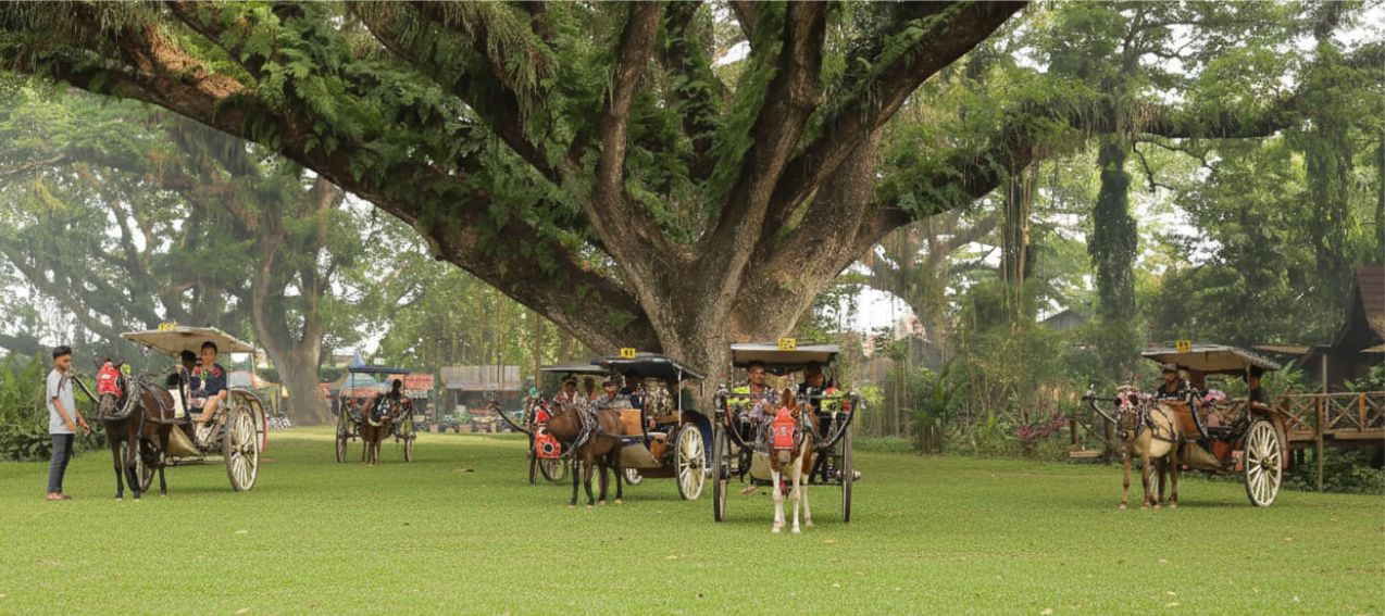 wisata banyuwangi